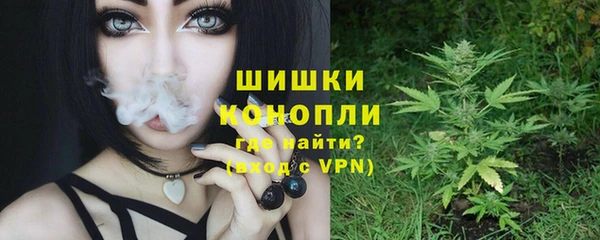 эйфоретик Осташков