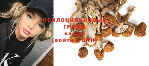 эйфоретик Осташков